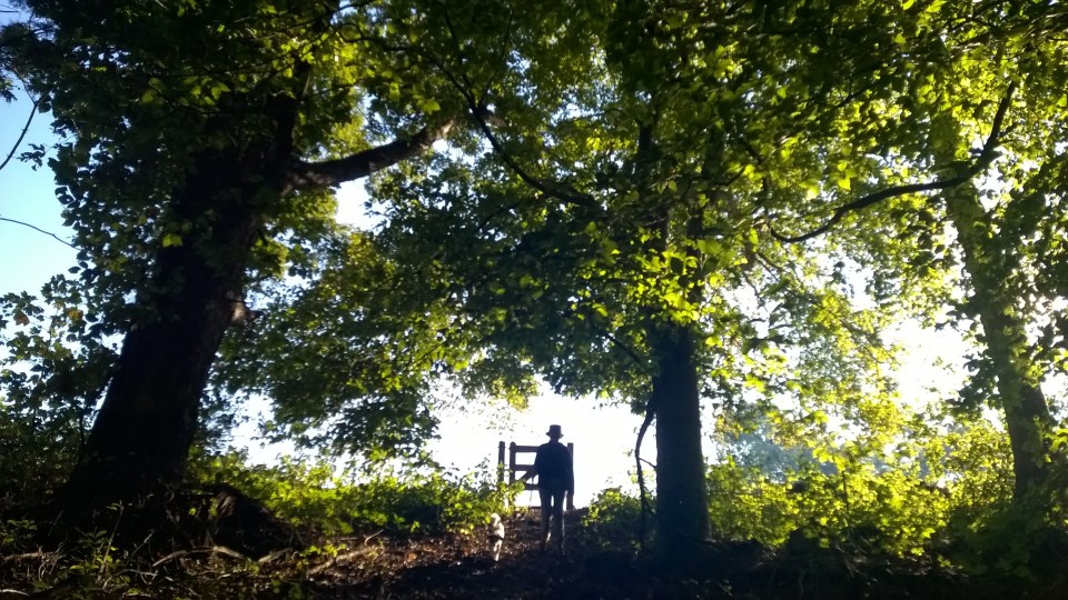 Kathryn hiking the Underwood Trail