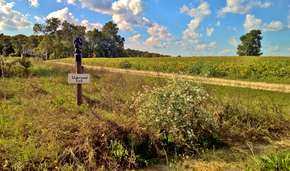 Underwood Trail signpost at Mahockney