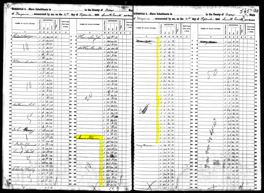 1850-09-30-latane-james-of-mahockney-slave-schedule-total-is-44-slaves